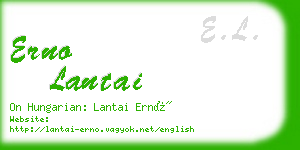 erno lantai business card